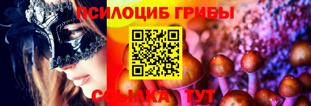 Туапсе  Псилоцибиновые грибы прущие грибы  где купить   Псилоцибиновые грибы Psilocybe  Вход с VPN 